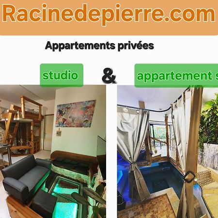 Racine De Pierre Apartment Castres  Exterior photo