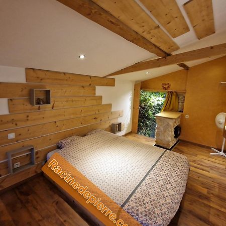 Racine De Pierre Apartment Castres  Room photo