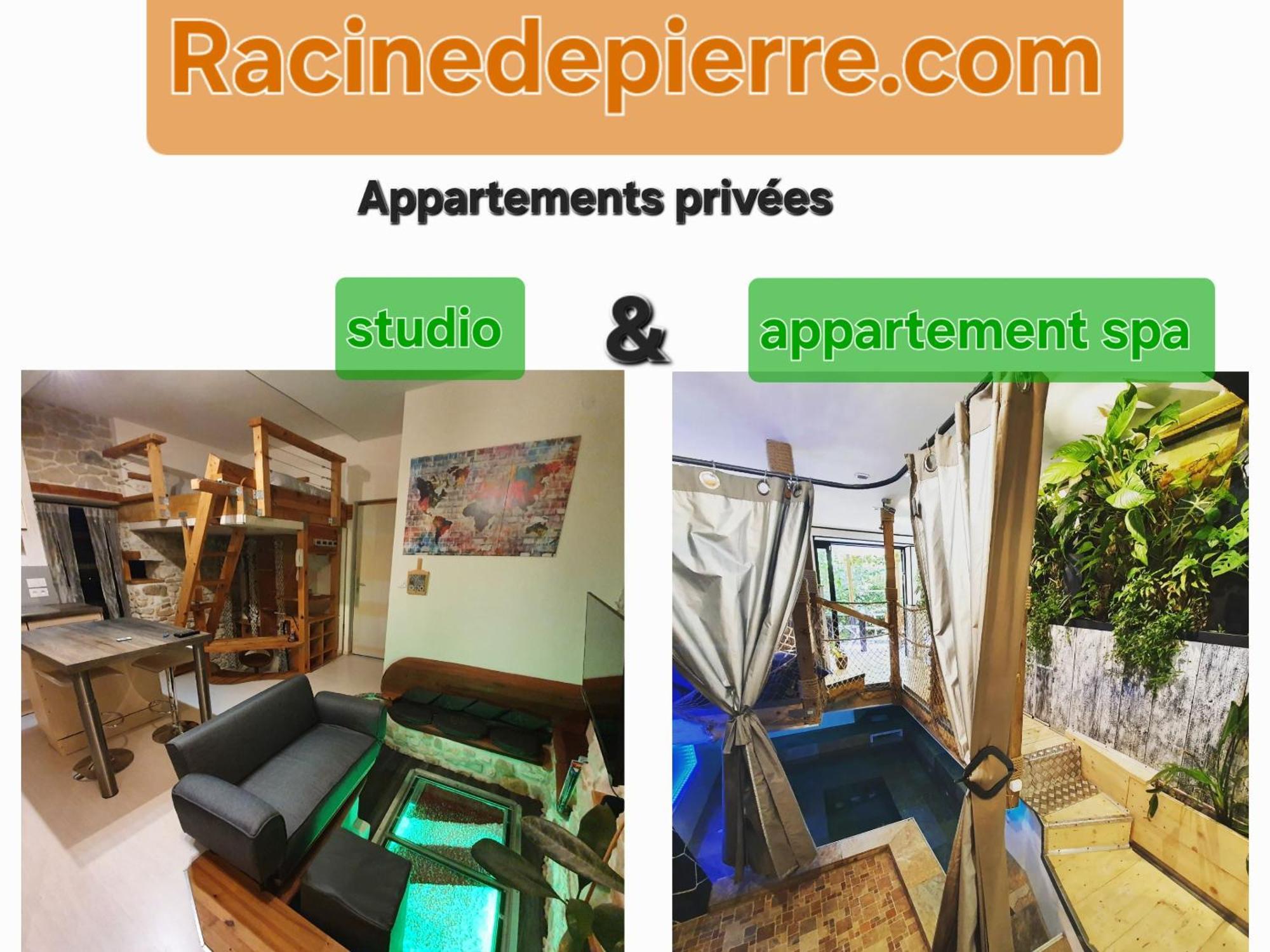 Racine De Pierre Apartment Castres  Exterior photo